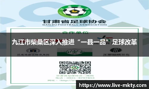 九江市柴桑区深入推进“一县一品”足球改革